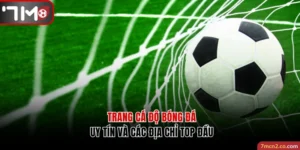 Trang Cá Độ Bóng Đá Uy Tín Và 4 Địa Chỉ Top Đầu Hiện Nay