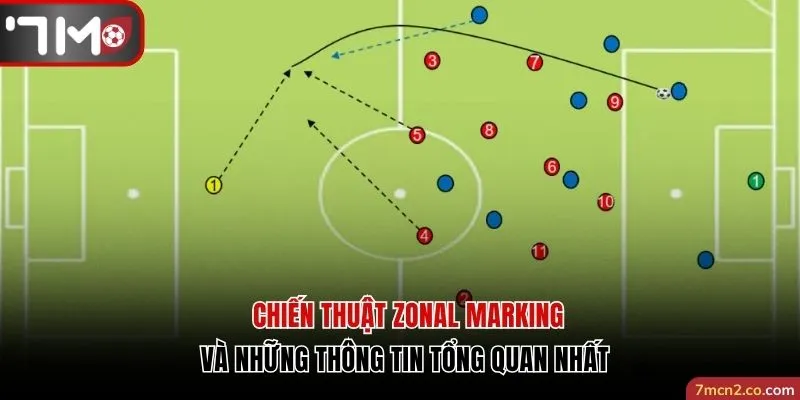 Giới thiệu về chiến thuật zonal marking