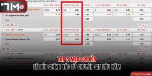 Mẹo Soi Kèo Tài Xỉu