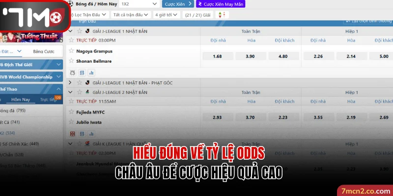 Hiểu Đúng Về Tỷ Lệ Odds Châu Âu Để Cược Hiệu Quả Cao